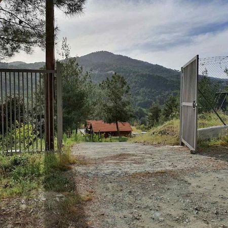 The Cosy Mountain Cabin With Stunning Views Near Troodos Kato Amiandos Exterior photo