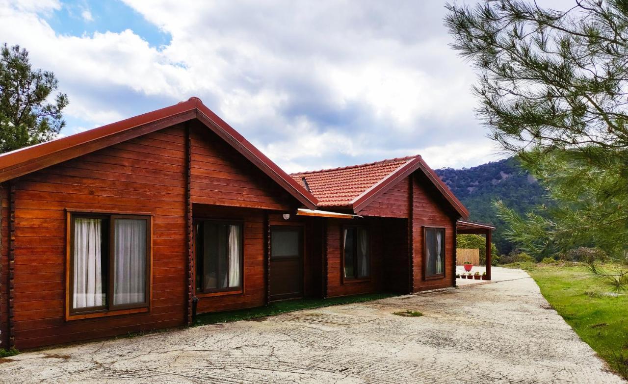 The Cosy Mountain Cabin With Stunning Views Near Troodos Kato Amiandos Exterior photo
